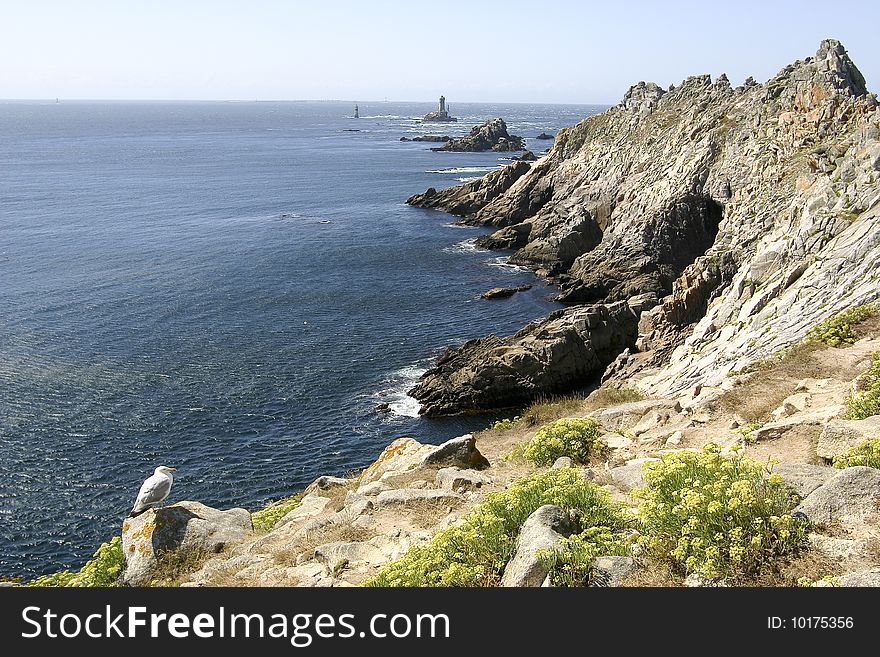 Cliff of brittany