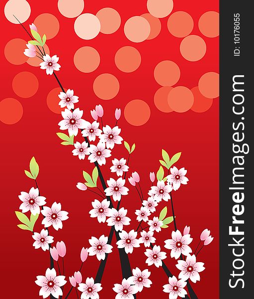 Spring time Cherry blossom flower. Spring time Cherry blossom flower