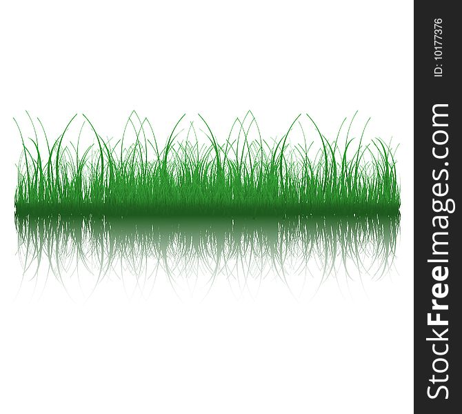 Illustration of grass with reflection. Available in jpeg and eps8 format.