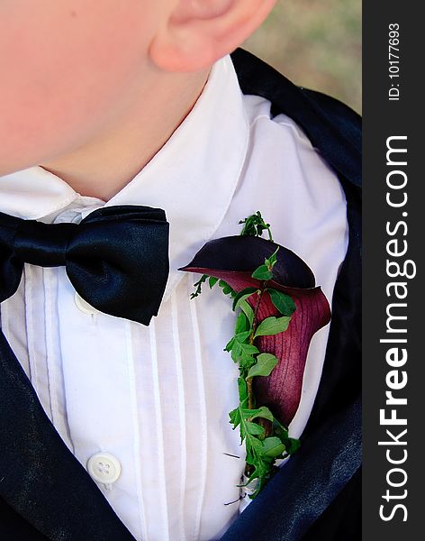 Little boy in tuxedo with bow tie and calla lilly. Little boy in tuxedo with bow tie and calla lilly