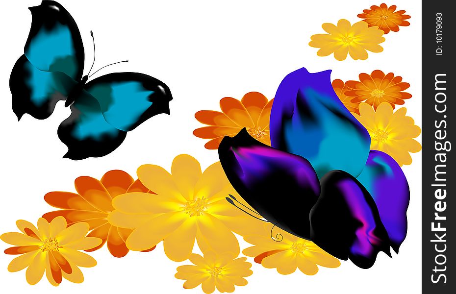 Two butterflies - 2