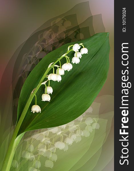 Fantasy - white flower - lilly of the valley. Fantasy - white flower - lilly of the valley