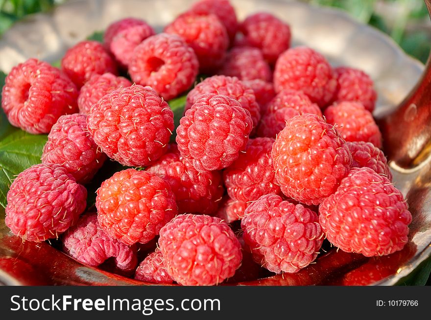 Red  raspberry on the nature