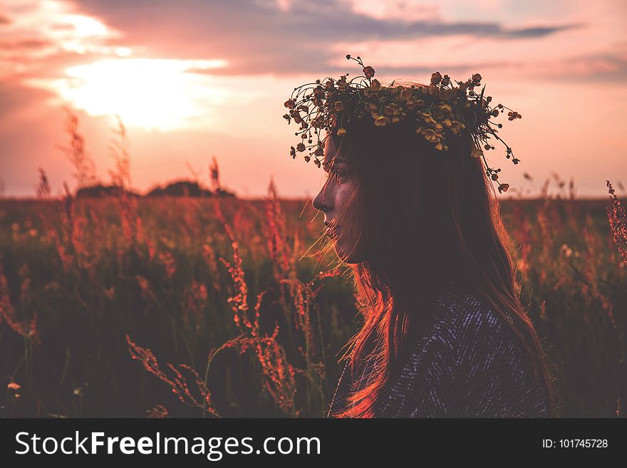 Sky, Sunrise, Field, Morning