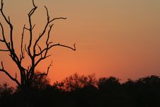 African Sky After Sunset Stock Image African Sky After Sunset Stock Image