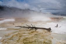 Mammoth Hot Springs, Yellowstone Stock Photo Mammoth Hot Springs, Yellowstone Stock Photo