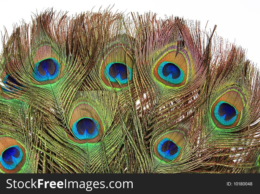 Old fan of feathers of a peacock. Old fan of feathers of a peacock.