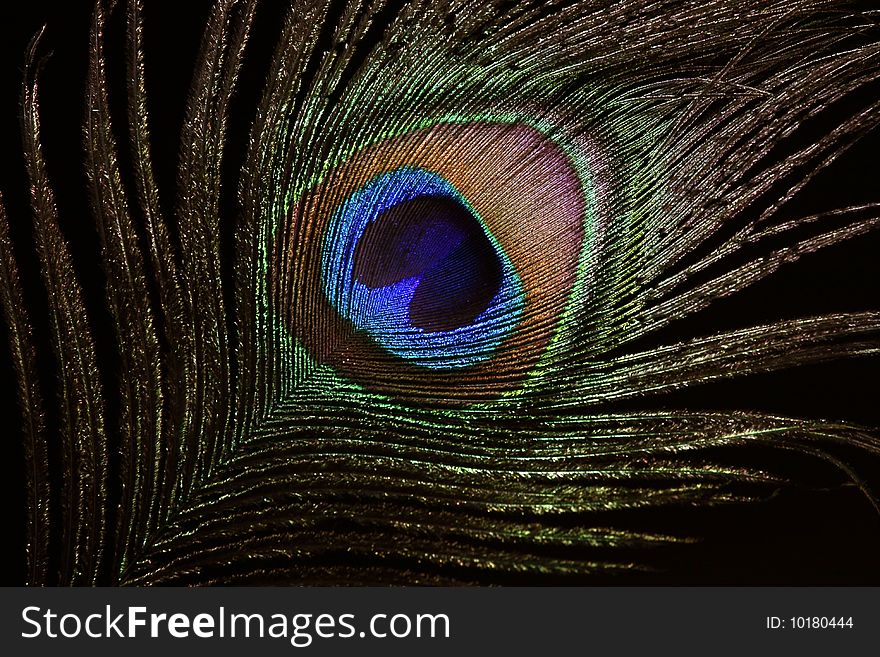 The peacock eye 4