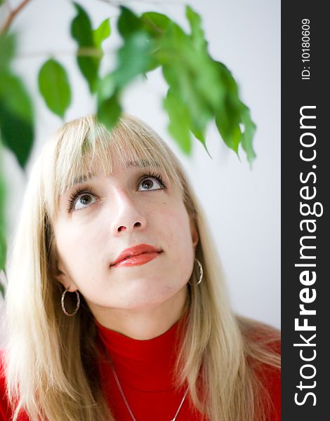 An attractive girl's portrait, her face seen through some green leaves. An attractive girl's portrait, her face seen through some green leaves