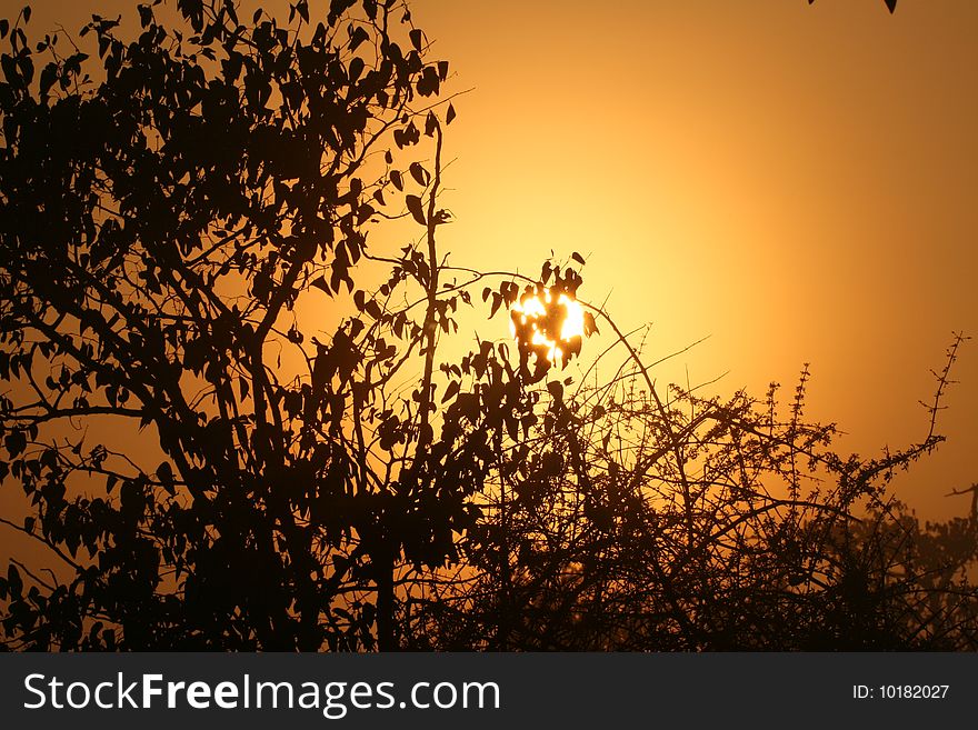 Beautiful sunset capture in the Kruger National Park. Beautiful sunset capture in the Kruger National Park.
