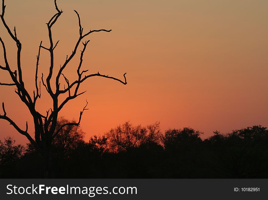 African sky after sunset