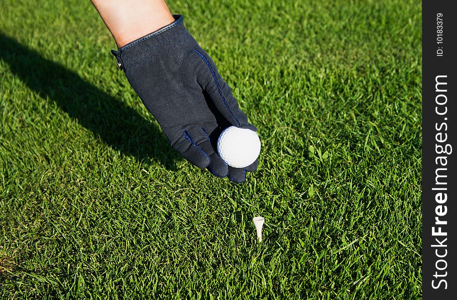 Golfer with the glove hand to put the ball on the tee peg. Golfer with the glove hand to put the ball on the tee peg