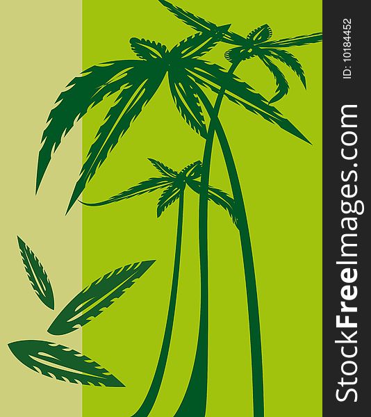 Objects illustration with palm trees on green background