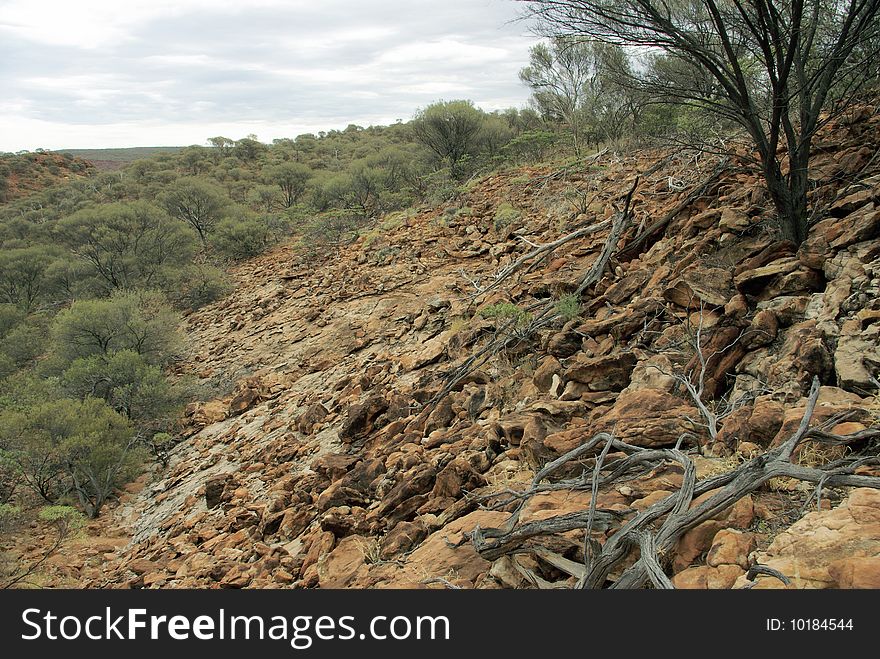 Morning in George Gill Range, Australia