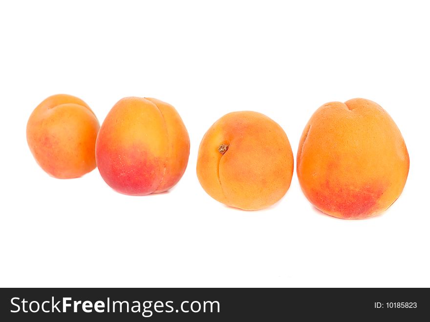 Juicy apricots isolated on the white background. Juicy apricots isolated on the white background