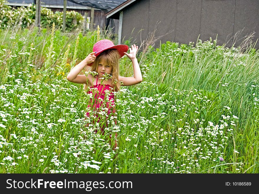 Little girl with hat in tall wild daisies. Little girl with hat in tall wild daisies.