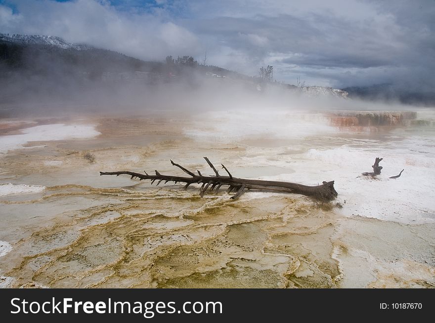 Mammoth Hot Springs, Yellowstone