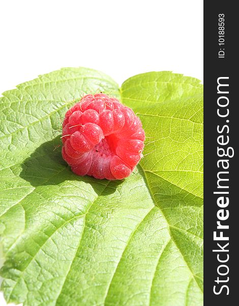 Red, ripe raspberry on green leaves.