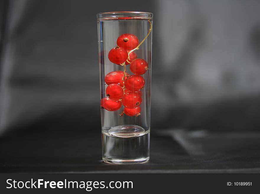 A cup of vodka with red currant. A cup of vodka with red currant