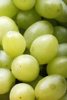 Fresh Green Grapes Royalty Free Stock Images