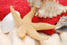 Starfish And Seashells On Towel Background Royalty Free Stock Photography Starfish And Seashells On Towel Background Royalty Free Stock Photography