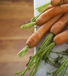 Bunch Of Carrots Stock Photo Bunch Of Carrots Stock Photo