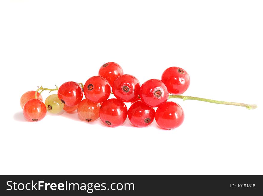 Red currant on a white background, it is isolated