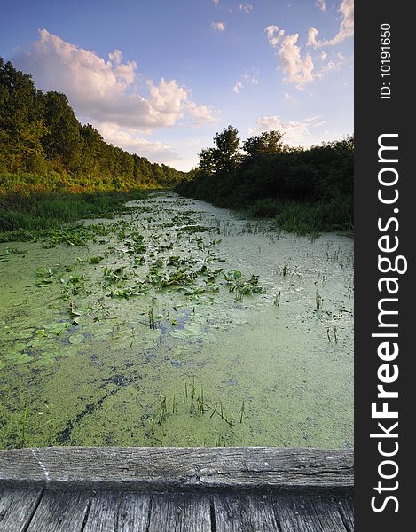 View from the wooden bridge on the slow river. View from the wooden bridge on the slow river