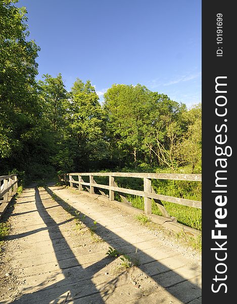 Wooden bridge over the river in the oak forest