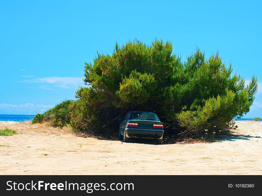 Car under the bush. Pause of long way to sea. Greece, Kassandra, Chalkidiki.