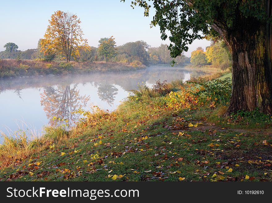 Autumn river in the morning light