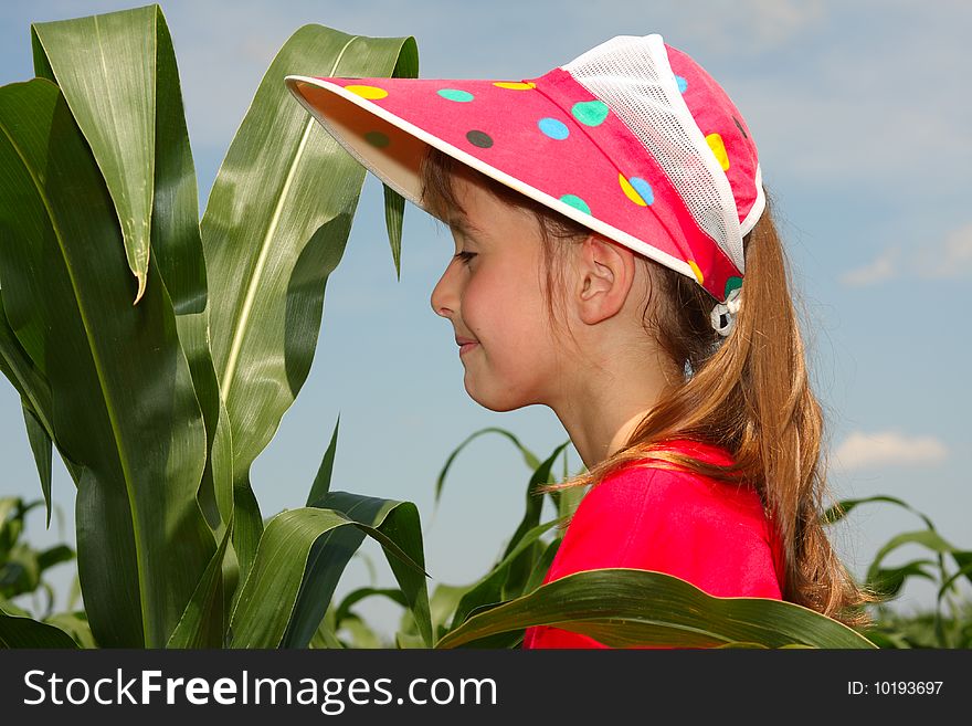 The little girl in a cap looks at corn leaves. The little girl in a cap looks at corn leaves