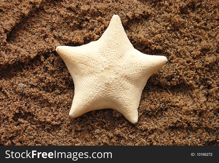 Starfish On A Beach Sand, Perfect For Background