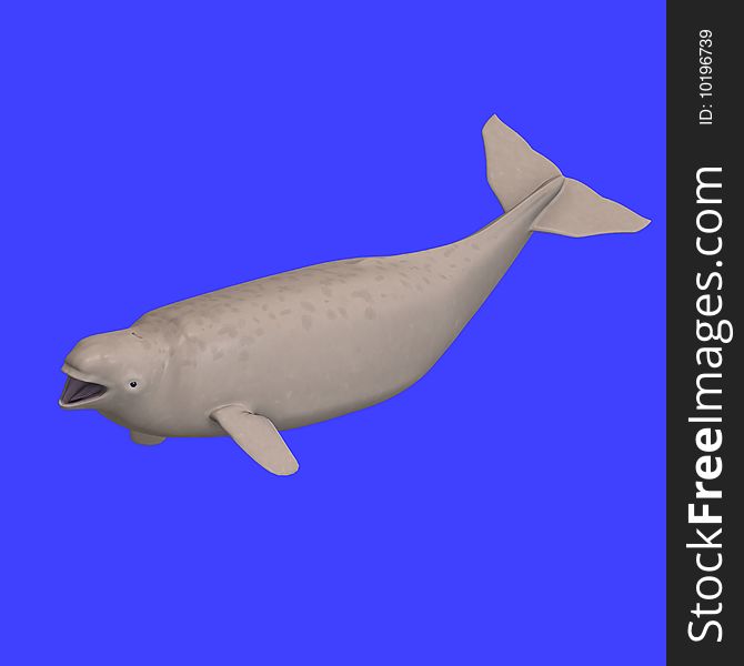 Whitle beluga whale calf. 3D rendering with clipping path