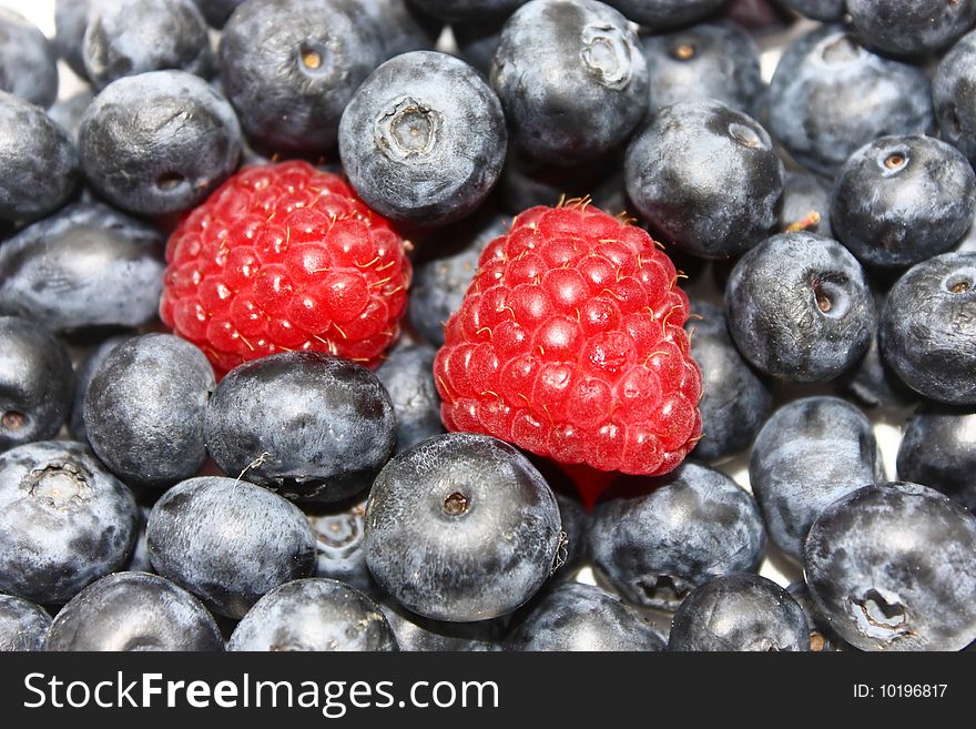 Black blueberries with red raspberries, background. Black blueberries with red raspberries, background