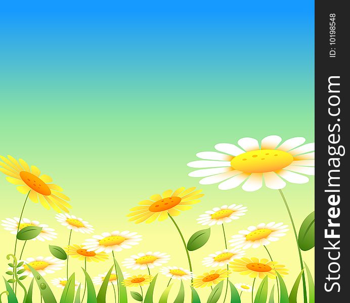 Yellow and white flowers under blue sky,used as background. Yellow and white flowers under blue sky,used as background