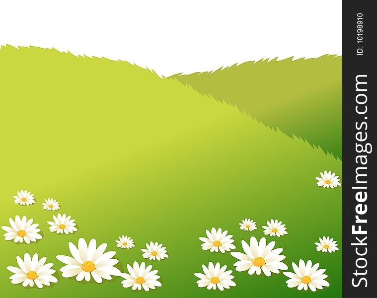 White flower on a green lawn,used as background. White flower on a green lawn,used as background