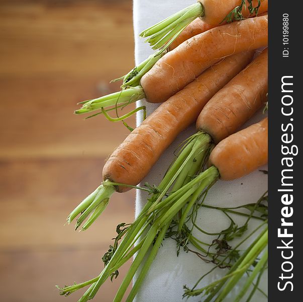 Bunch of fresh harvested carrots. Bunch of fresh harvested carrots