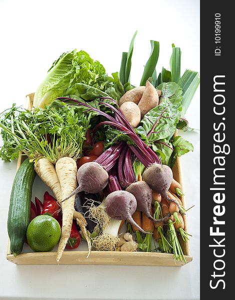 Arrangement of different kinds of vegetables