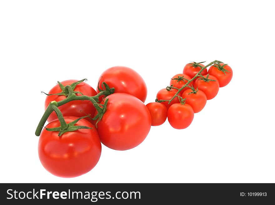 Various tomatoes isolated on white background.