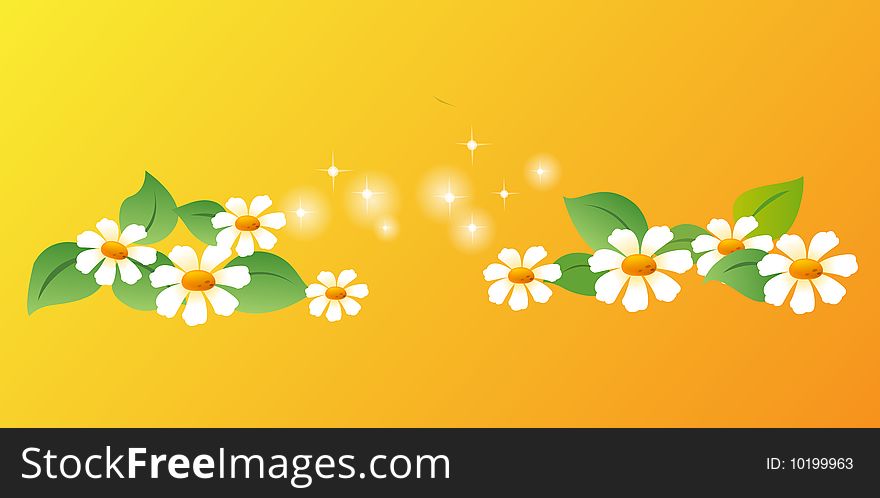 White  daisy with green leaves on a orange background. White  daisy with green leaves on a orange background
