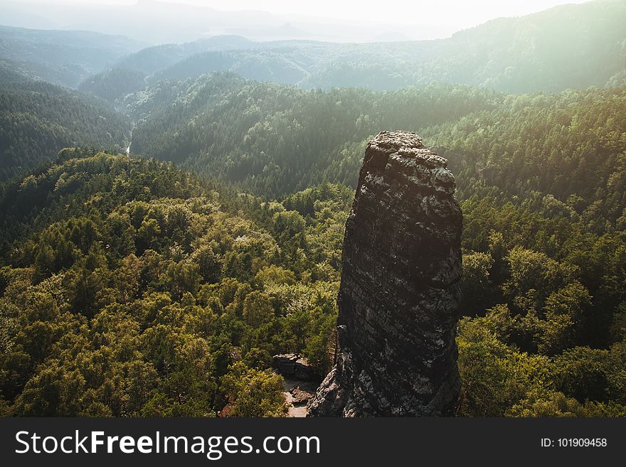 Daylight, Fog, Foggy, Landscape