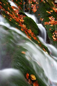 Autumn Stream In Giant Mountains Royalty Free Stock Photos Autumn Stream In Giant Mountains Royalty Free Stock Photos