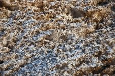 Polluted Snow Stock Image Polluted Snow Stock Image