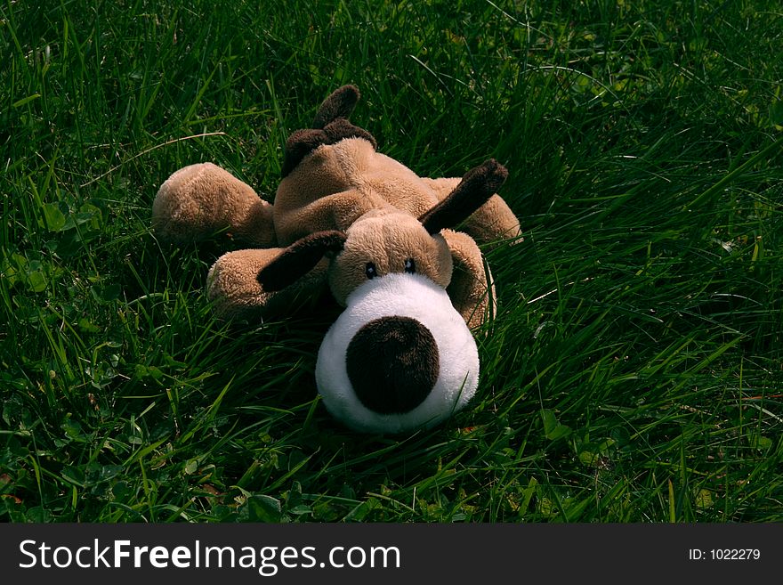 Toy dog laying in the grass. Toy dog laying in the grass