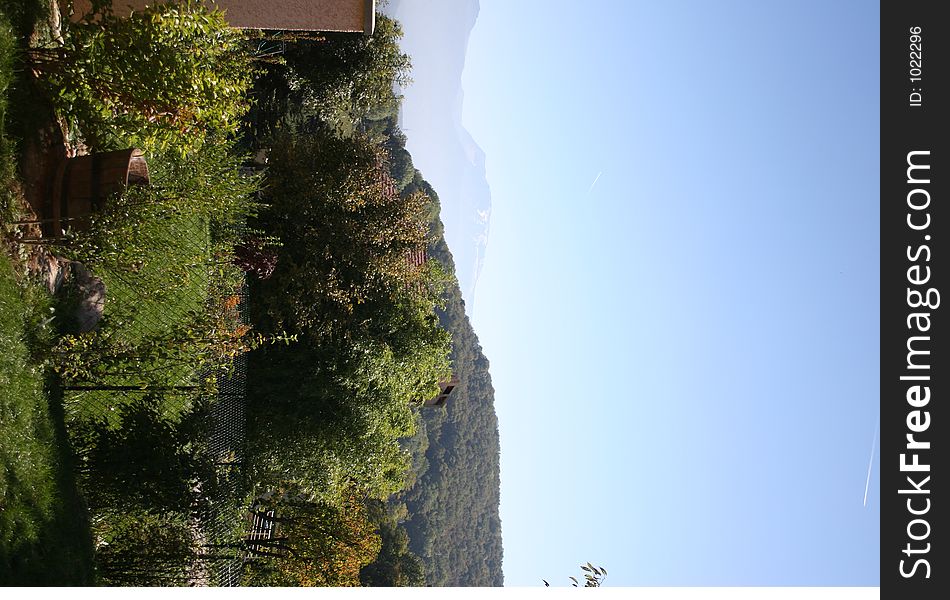 Photo of a forest on a mountain. Seen from a garden. Photo of a forest on a mountain. Seen from a garden.
