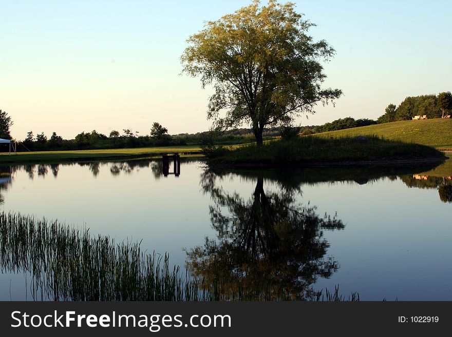 A tree is reflected in a still pond at sunset with benches nearby for viewing the sunset. A tree is reflected in a still pond at sunset with benches nearby for viewing the sunset