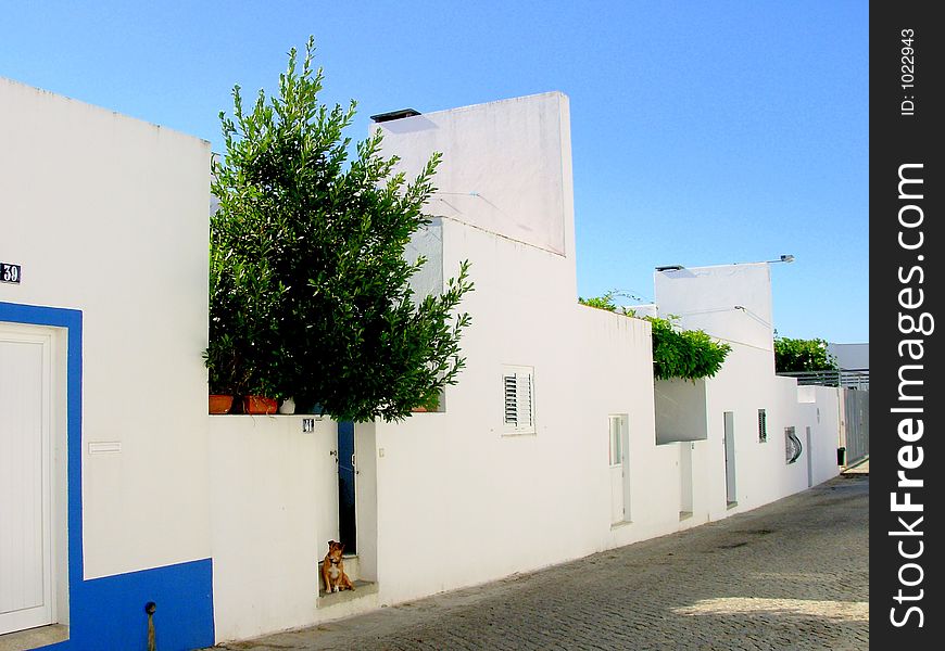 Located in Ã‰vora, projecto of recognized arquitecto siza vieira which respects the traditional lines and historical influences in the construction of buildings of the Alentejo region. Located in Ã‰vora, projecto of recognized arquitecto siza vieira which respects the traditional lines and historical influences in the construction of buildings of the Alentejo region.