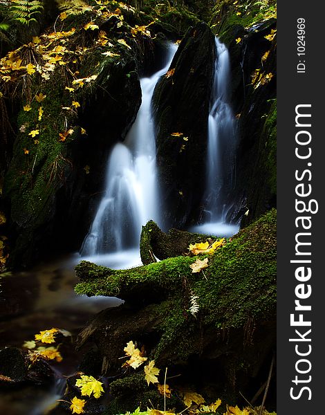 Autumn stream in Giant mountains in Czech republic