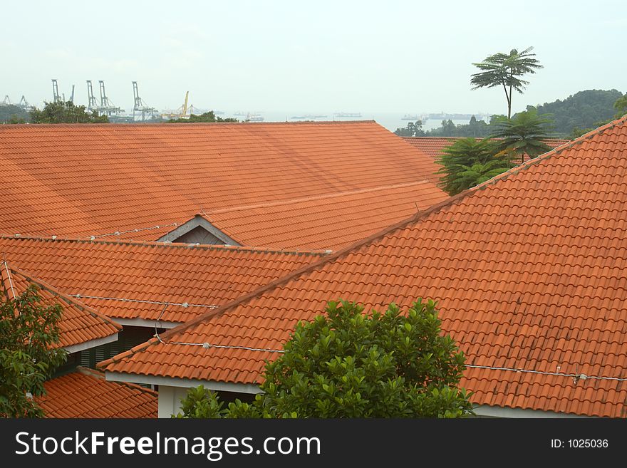 Red roof tops